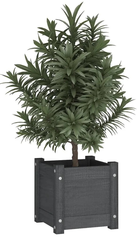Vaso/floreira de jardim 31x31x31 cm pinho maciço cinzento