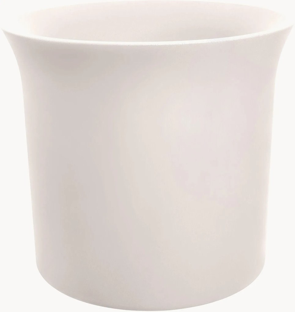 Vaso June Tulip