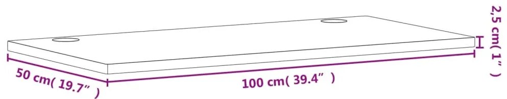 Tampo de secretária 100x50x2,5 cm madeira de faia maciça