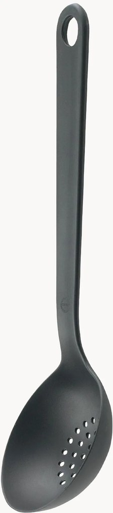 Concha com orifícios Vexano