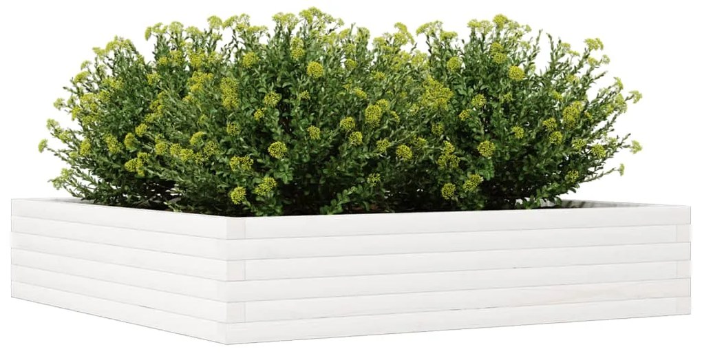 Vaso/floreira de jardim 110x110x23 cm pinho maciço branco