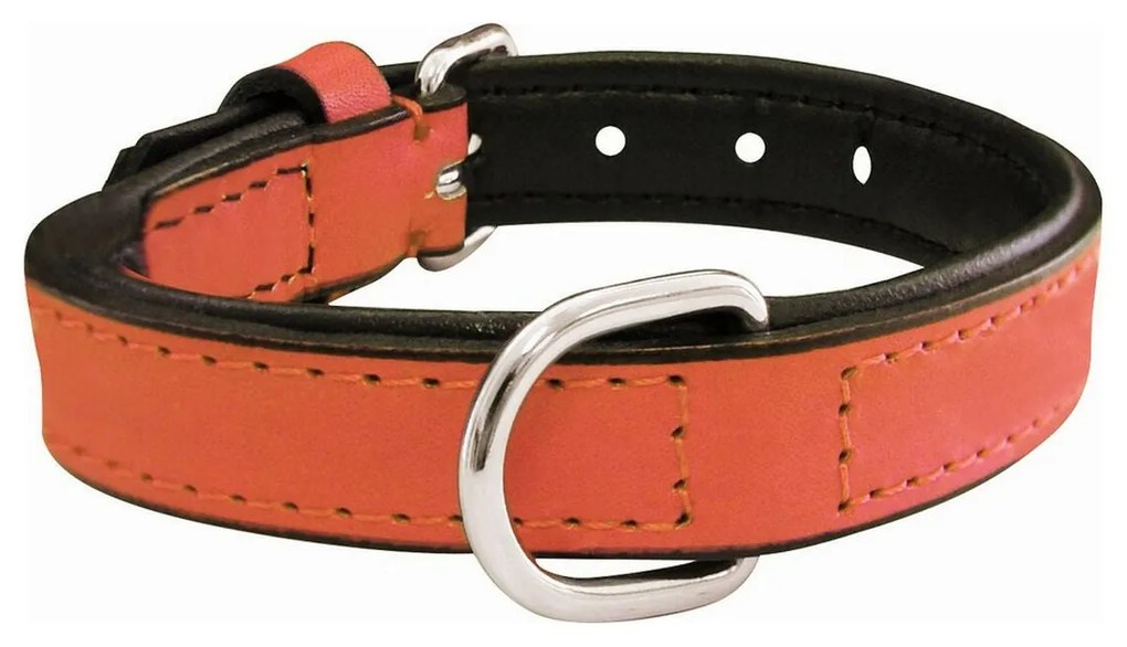 Coleira para Cães Gloria Acolchoado Coral (30 x 1,5 cm)