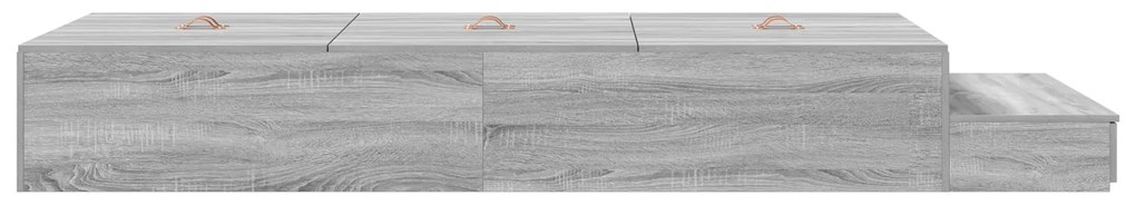 Estrado de Cama Armazenamento Cinza Sonoma 100x200 cm