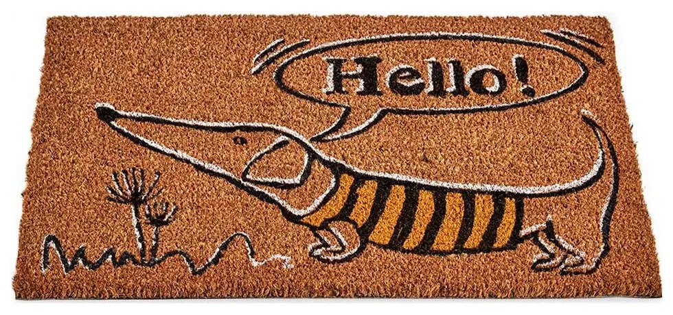 Tapete Hello Castanho Cão Fibra de coco (40 x 1,5 x 60 cm)