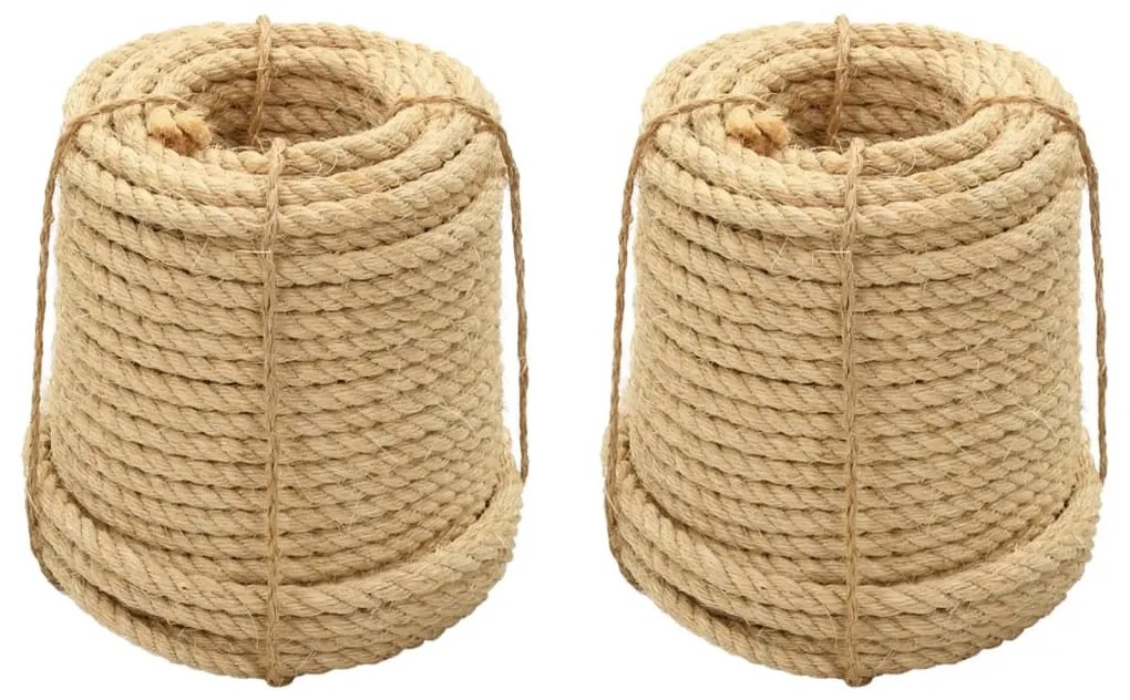 3196227 vidaXL Cordas de sisal 2 pcs 12 mm 250 m