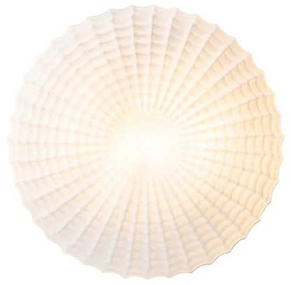 Plafon Clássico Preto com Vidro Opalino 30 cm IP44 - Nohmi