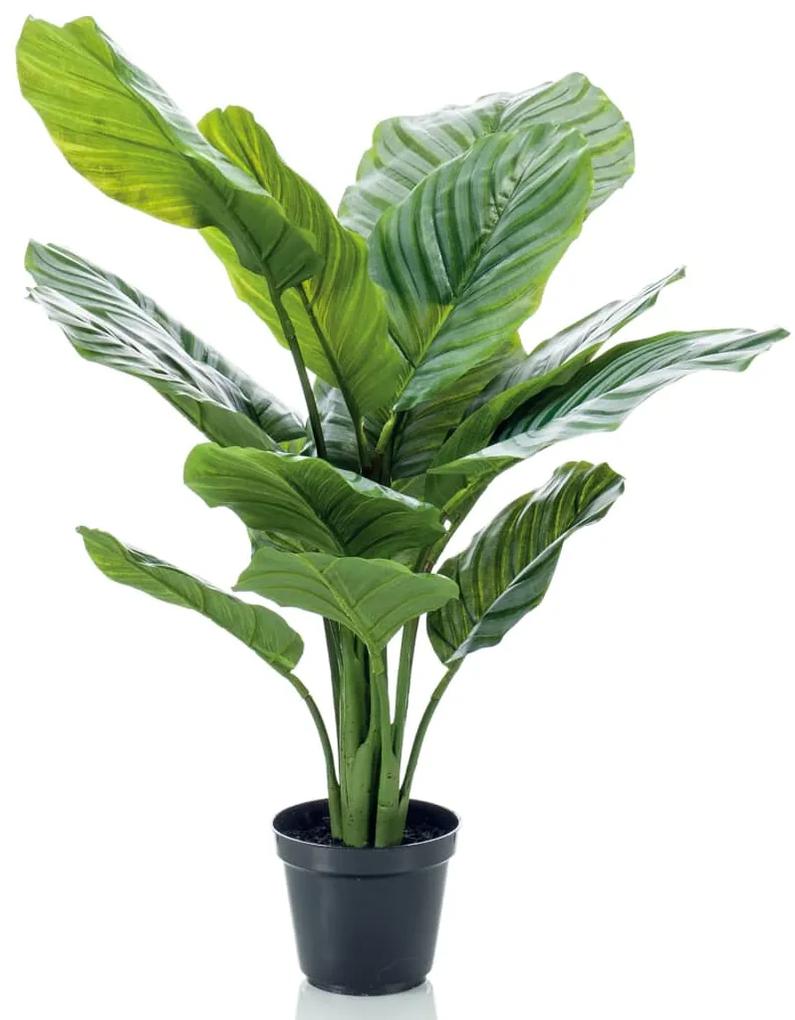 428475 Emerald Planta artificial Calathea Orbifolia em vaso 60 cm