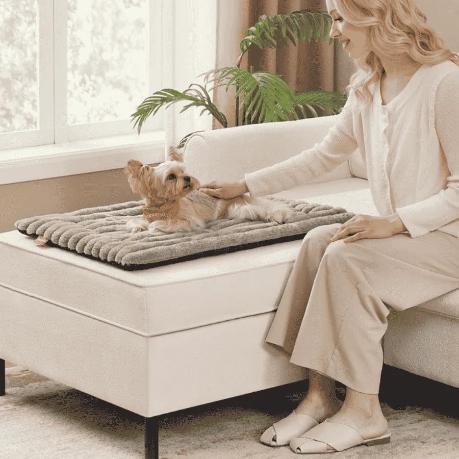 Manta para cães S 75 x 50 cm lavável na máquina cinzenta