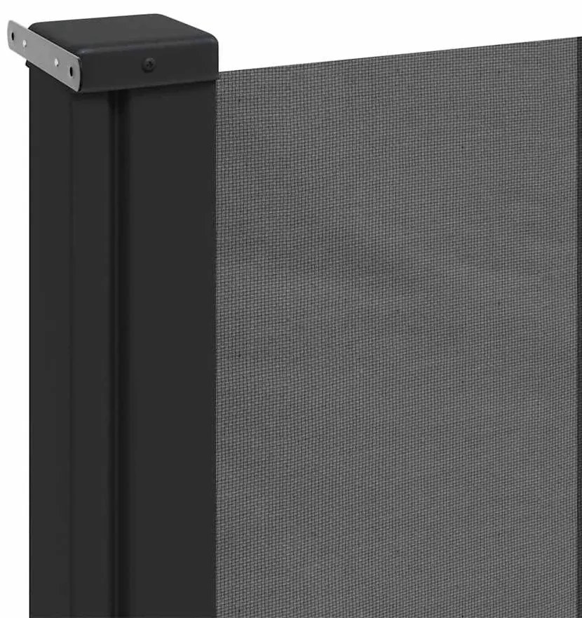 Toldo lateral retrátil 220x500 cm antracite