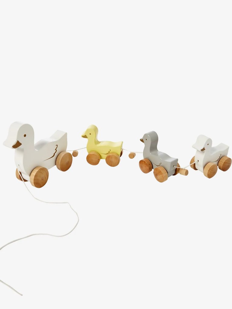 Família de patos para puxar multicolor