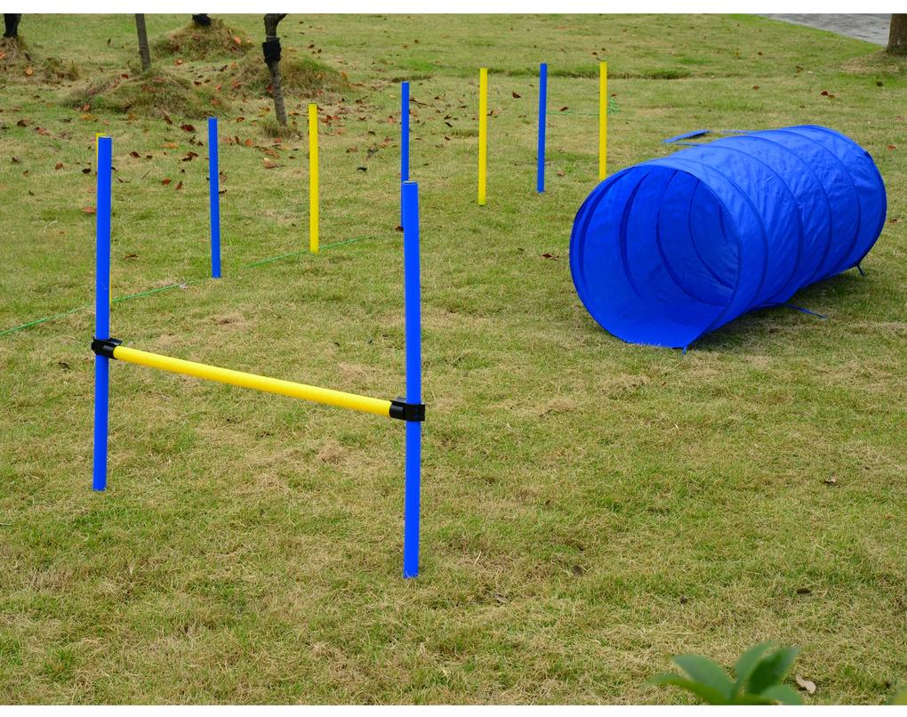 Kit Treino Agility Agilidade Cães Salto Túnel e Slalom Azul Amarelo