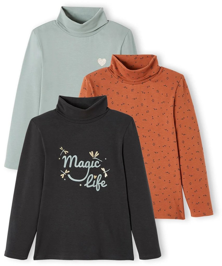 Lote de 3 camisolas de gola alta, para menina cinzento escuro bicolot/multic