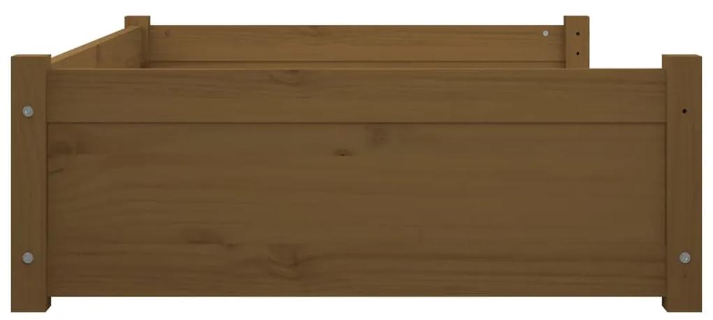 Cama p/ cães 105,5x75,5x28 cm madeira pinho maciça castanho mel