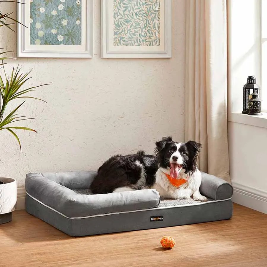 Cama ortopédica para cães 91 x 71 x 25 cm Cinzento claro