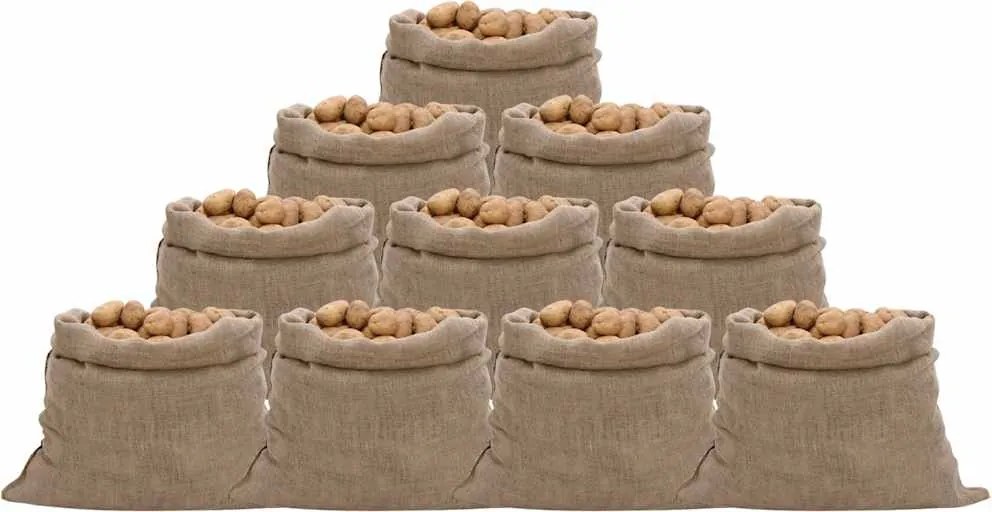 vidaXL Sacos de juta 10 pcs 100x110 cm 100% juta 220 gsm