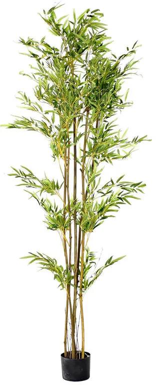 Planta Decorativa DKD Home Decor Verde Bambu PE (50 x 50 x 180 cm)