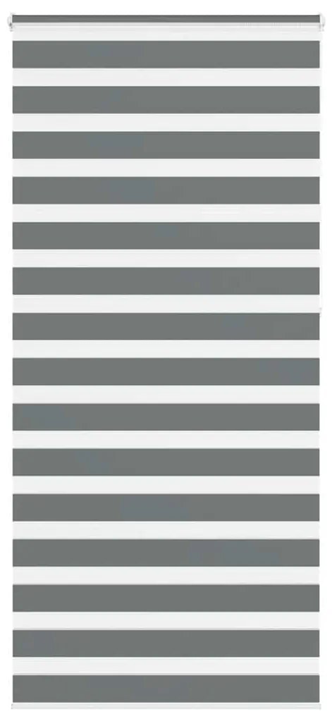 vidaXL Cortina de zebra 95x230 cm largura do tecido 90,9 cm poliéster
