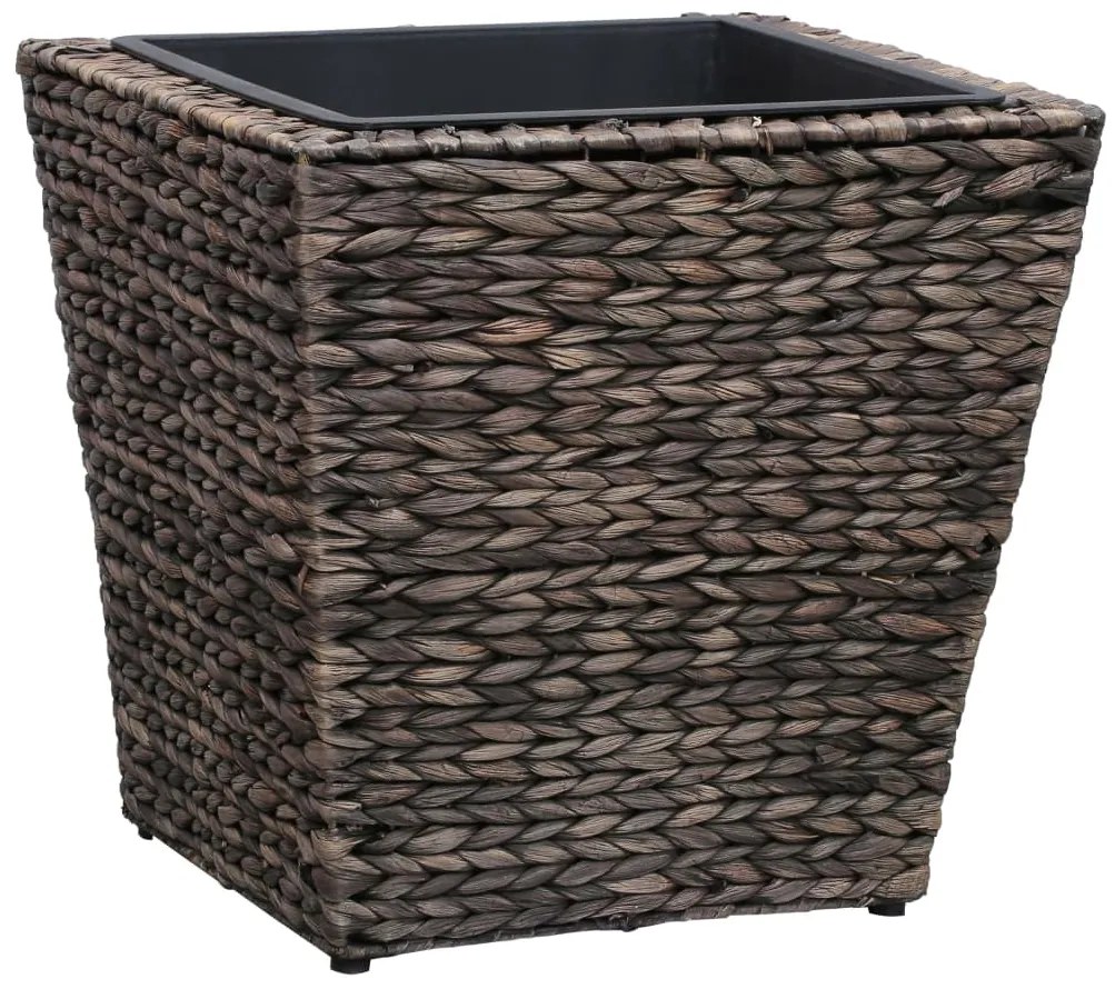 Vasos/floreiras 3 pcs jacinto de água castanho