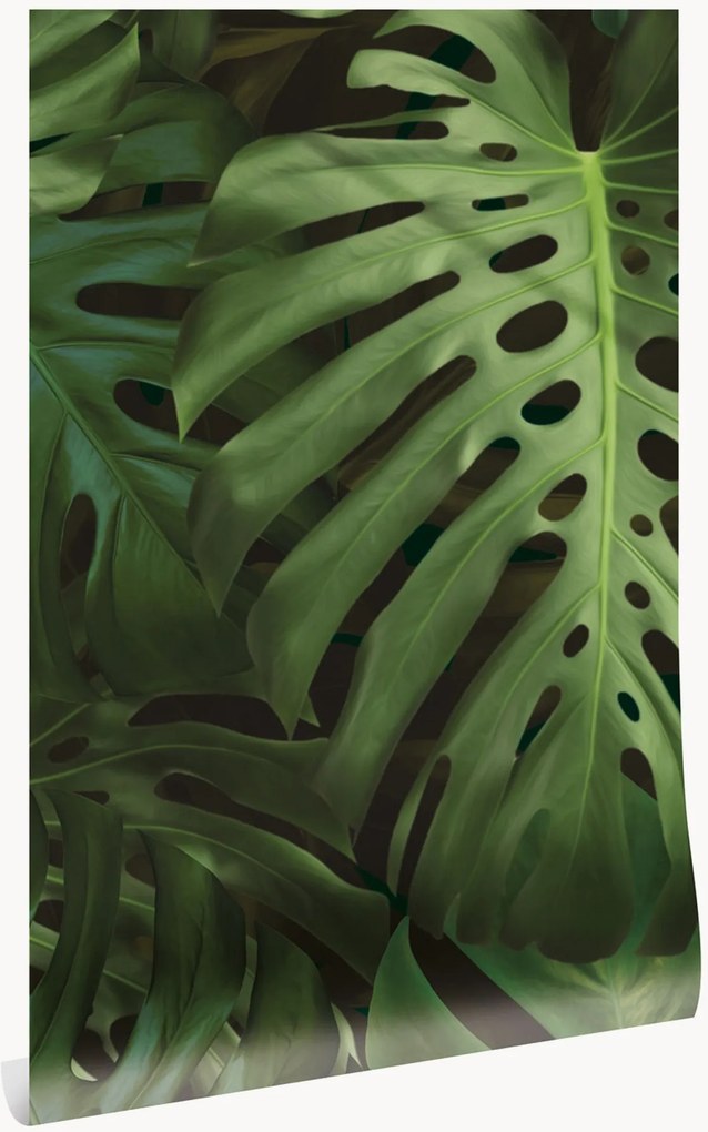 Papel de parede não tecido Monstera