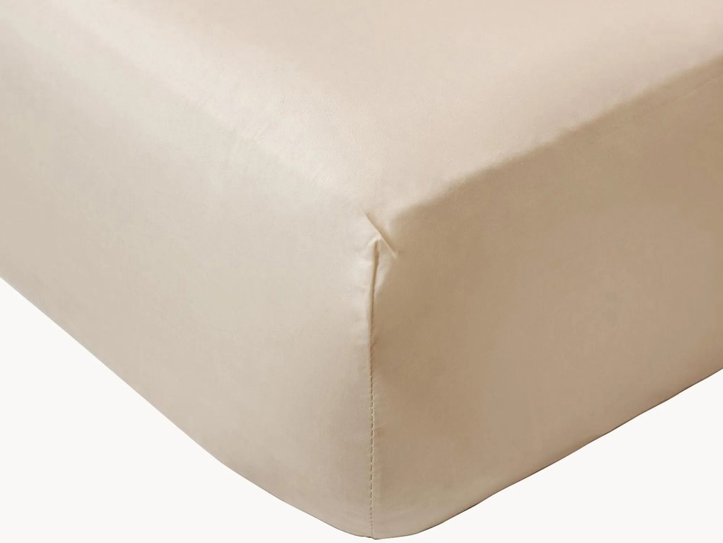 Lençol com elástico em percal de algodão para boxspring Cream