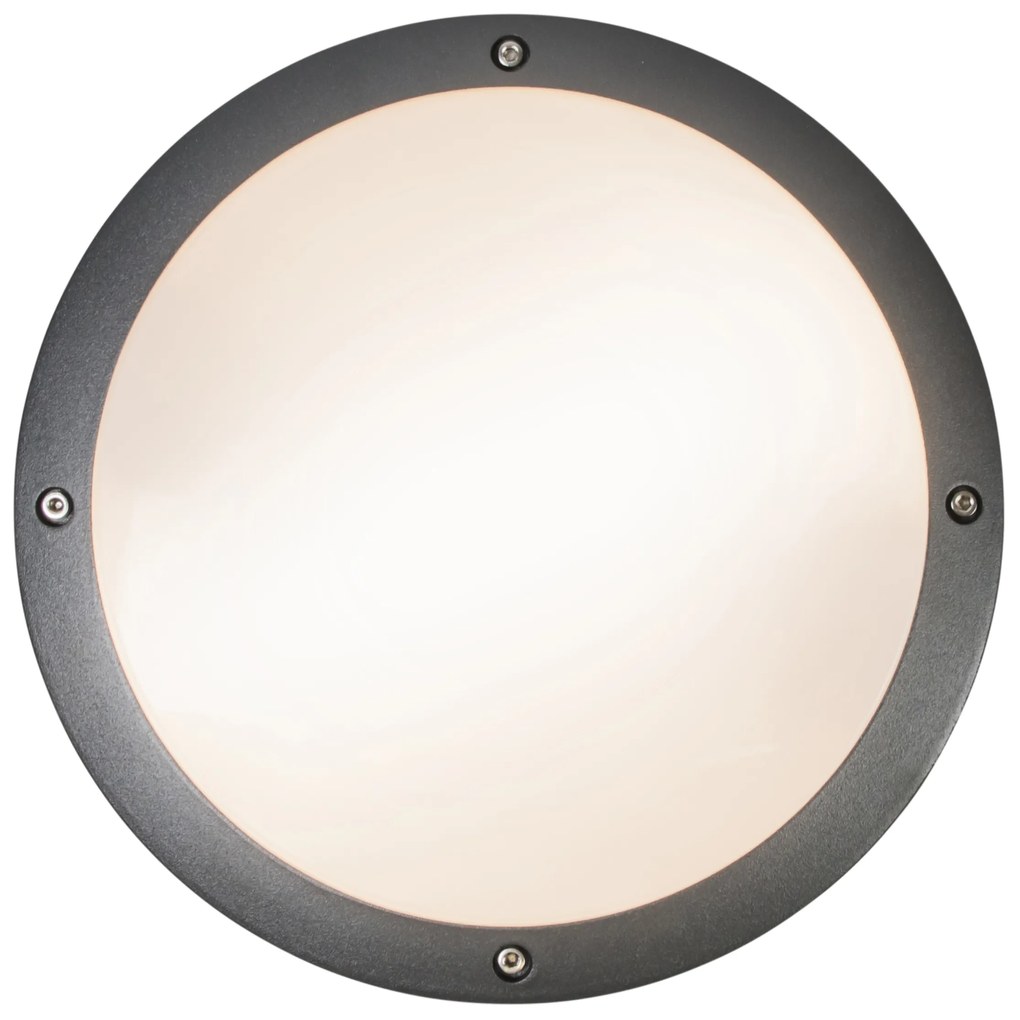 Candeeiro de parede e teto cinzento escuro 2 luzes IP54 - Glow Moderno