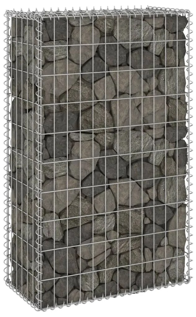 vidaXL Muro gabião com tampas aço galvanizado 60x30x100 cm
