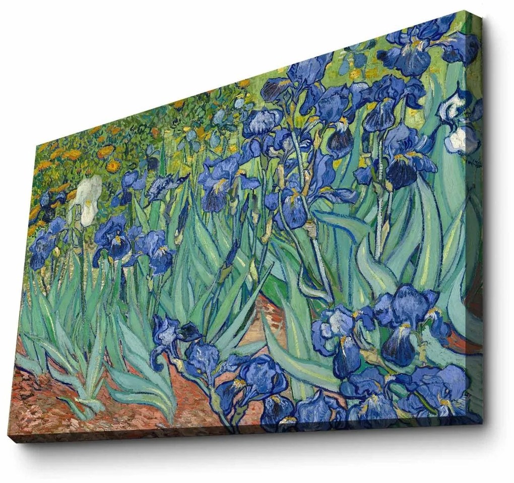 Tela Decorativa 4570VANGOGH035 – Multicolor – 45 x 70 cm