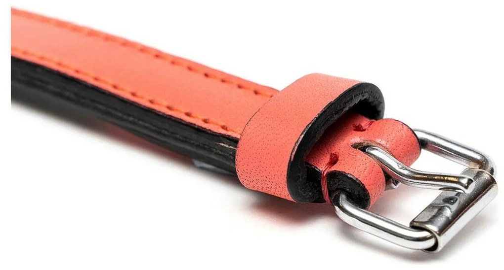 Coleira para Cães Gloria Acolchoado Coral (30 x 1,5 cm)