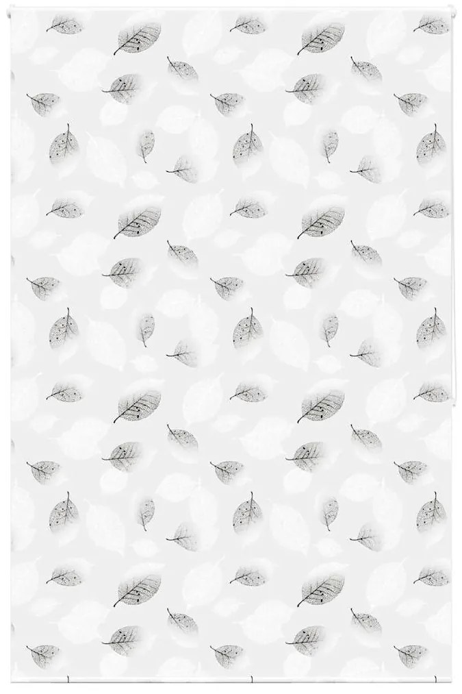 Rolo de Duche Estores 160x240 cm Largura Tecido 156 cm