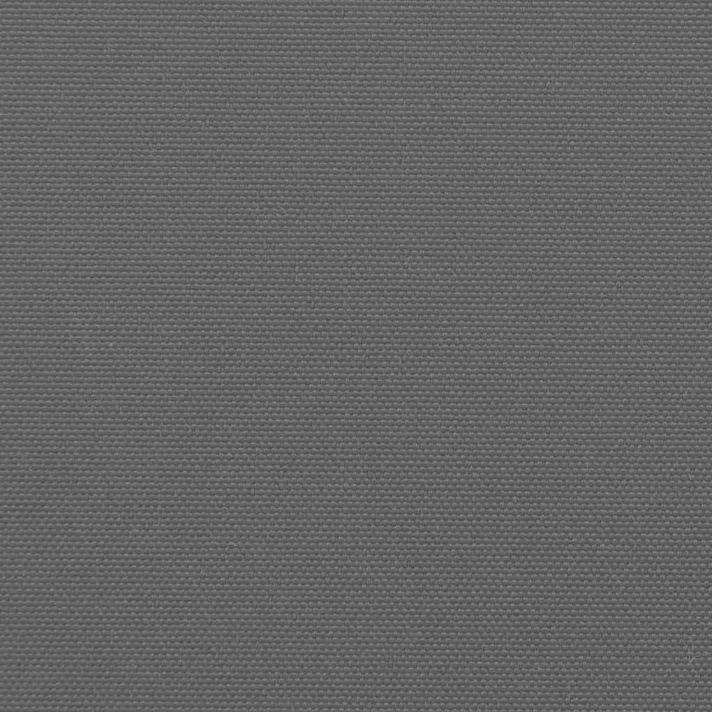 Toldo lateral retrátil 180x300 cm antracite