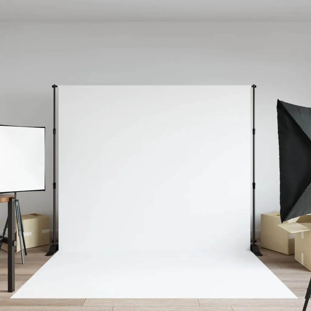 vidaXL Suporte para fundo fotográfico 254x243 cm aço preto
