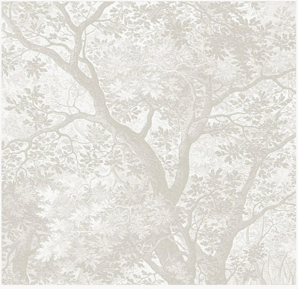Papel de parede Engraved Landscapes