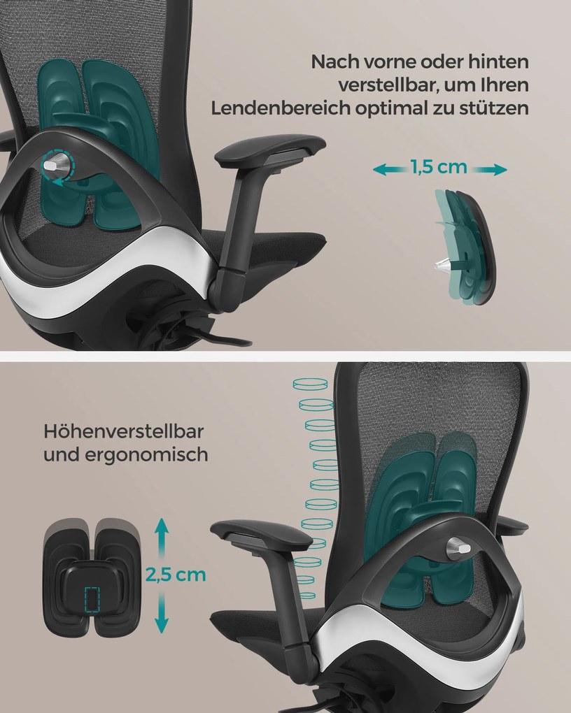 Cadeira de escritório com encosto ergonómico e ajustável Preto