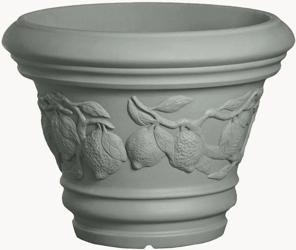 Vaso Limoni