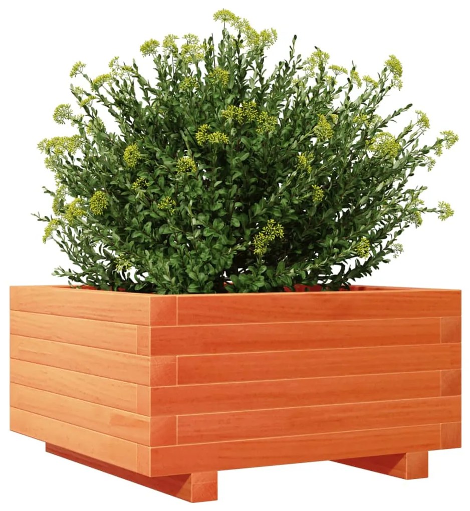 Vaso/floreira de jardim 50x50x26,5 cm pinho maciço castanho-mel