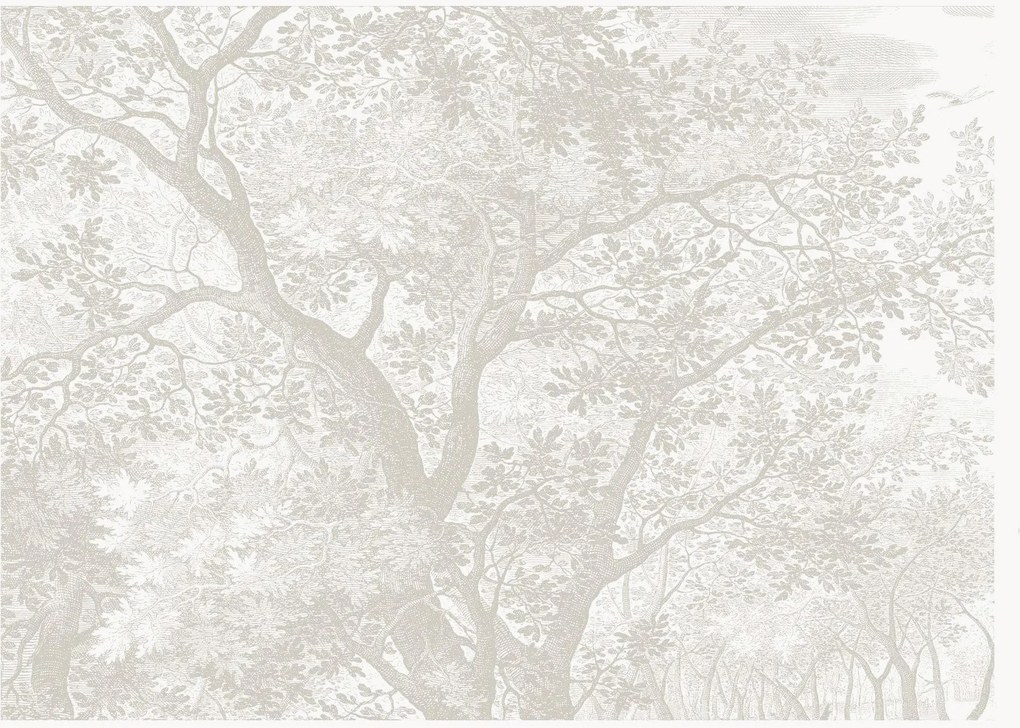 Papel de parede Engraved Landscapes