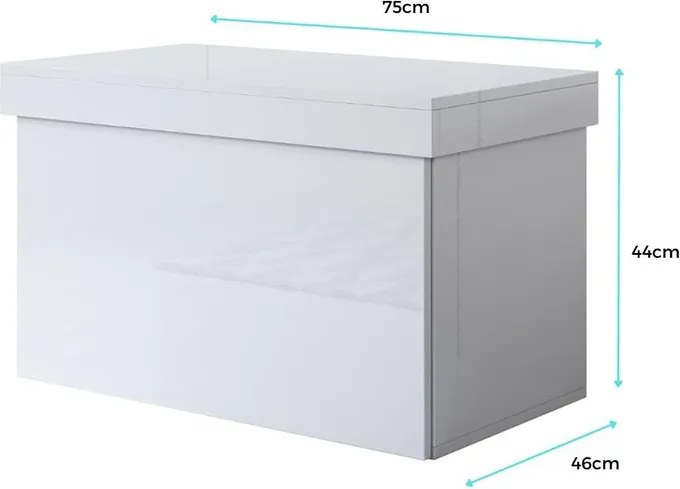 Baú/Sapateira com Gaveta BRAGA - 75X44X46 cm - Branco Brilhante - Desi