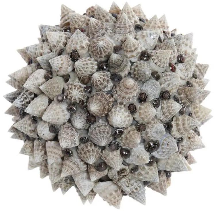 Bola decorativa DKD Home Decor Conchas Natural (12 x 12 cm)