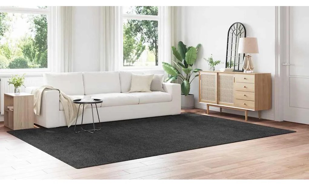 Tapete Shaggy vidaXL com Base de Látex Cinza Escuro 240x340 cm