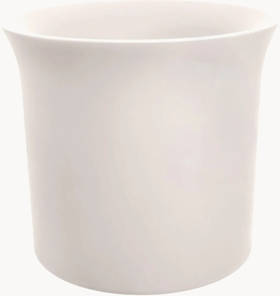 Vaso June Tulip