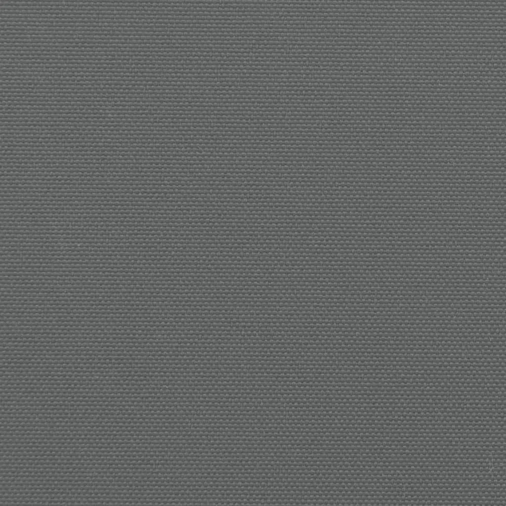 Toldo lateral retrátil 140x600 cm antracite