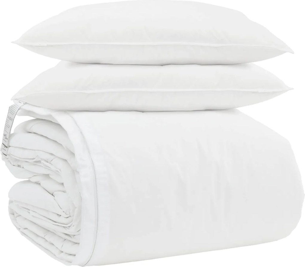 vidaXL Conjunto de Edredom com travesseiro 3 pcs Branco Pena de ganso