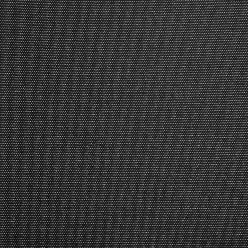Lona para toldo antracite 600x300 cm