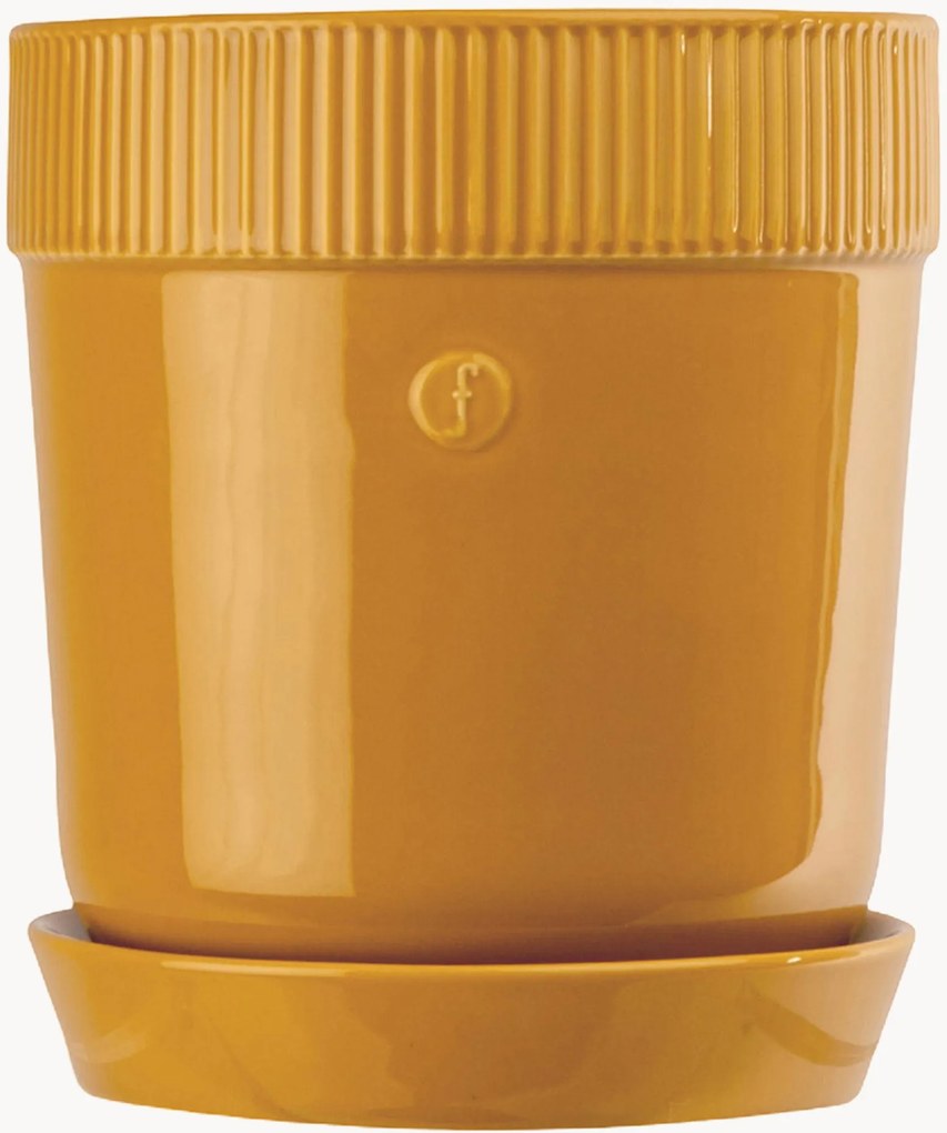 Vasos Elise, conjunto de 2