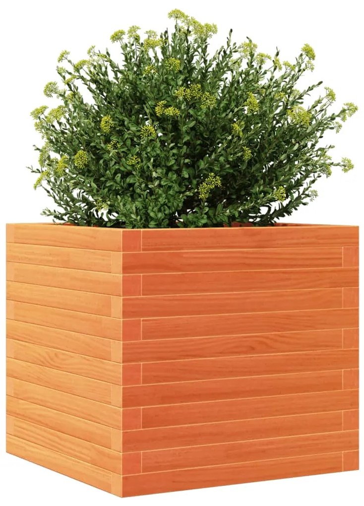 Vaso/floreira de jardim 50x50x46 cm pinho maciço castanho-mel