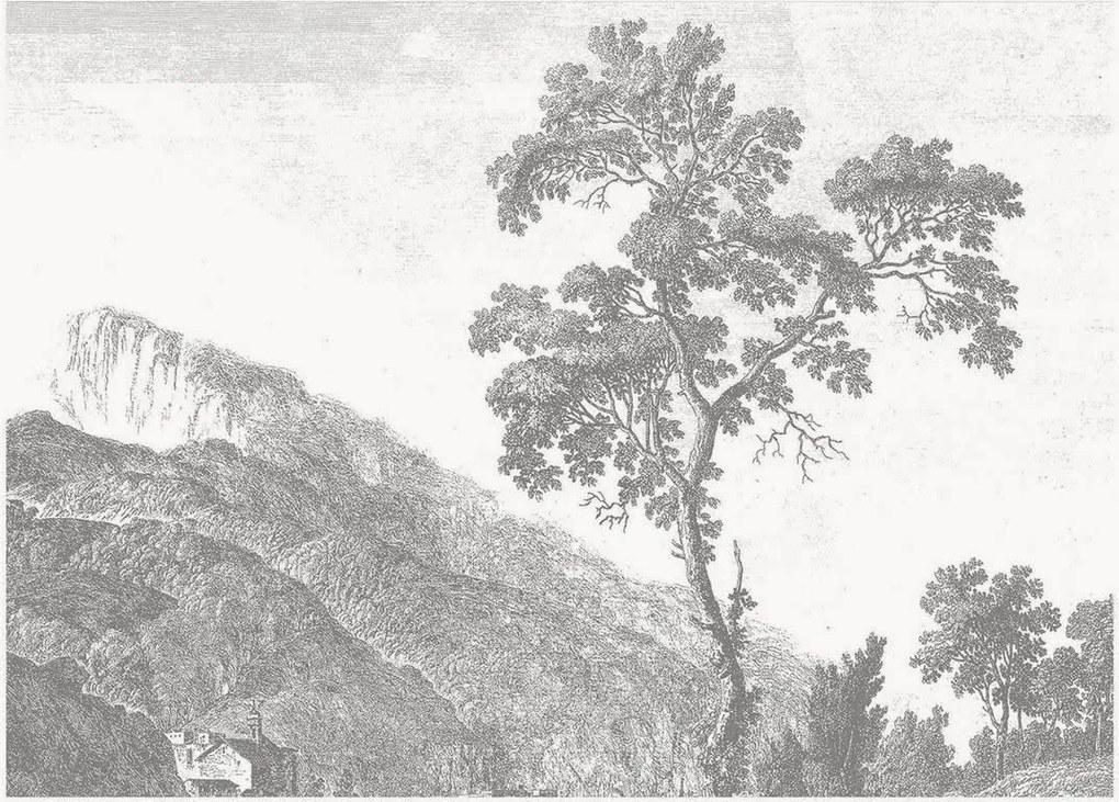 Papel de parede não tecido Engraved Landscapes I