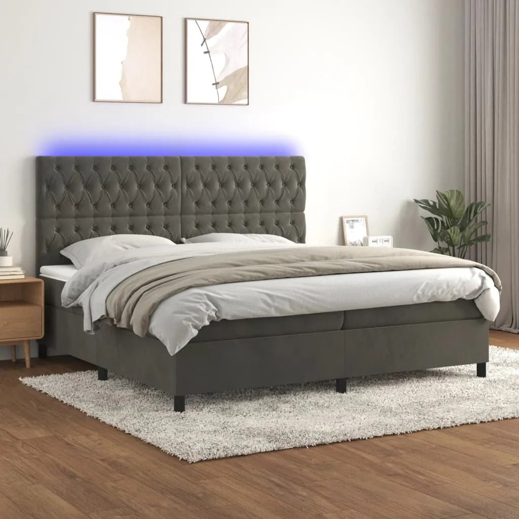 Cama box spring c/ colchão/LED 200x200cm veludo cinzento-escuro