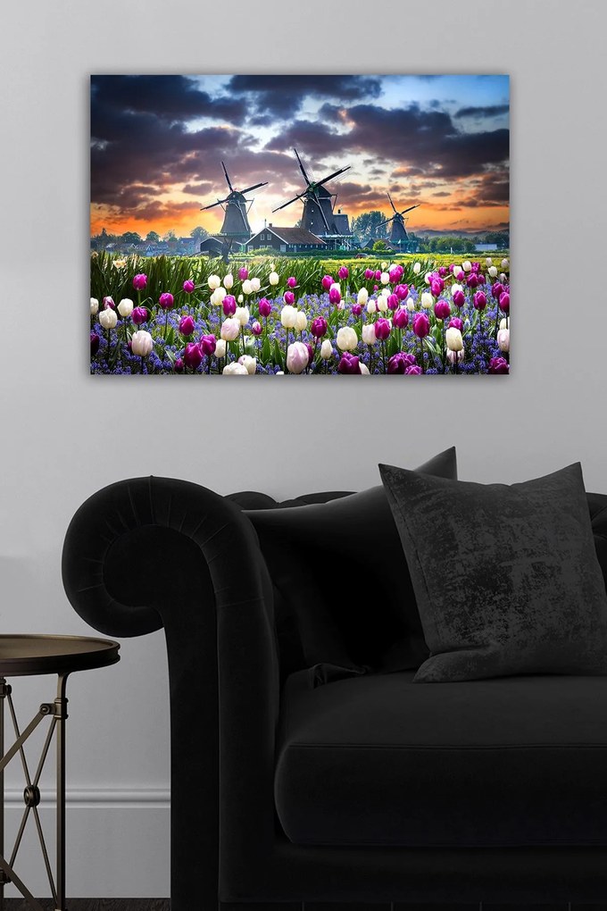 Tela Decorativa 1481242091 – Multicolor – 50 x 70 cm