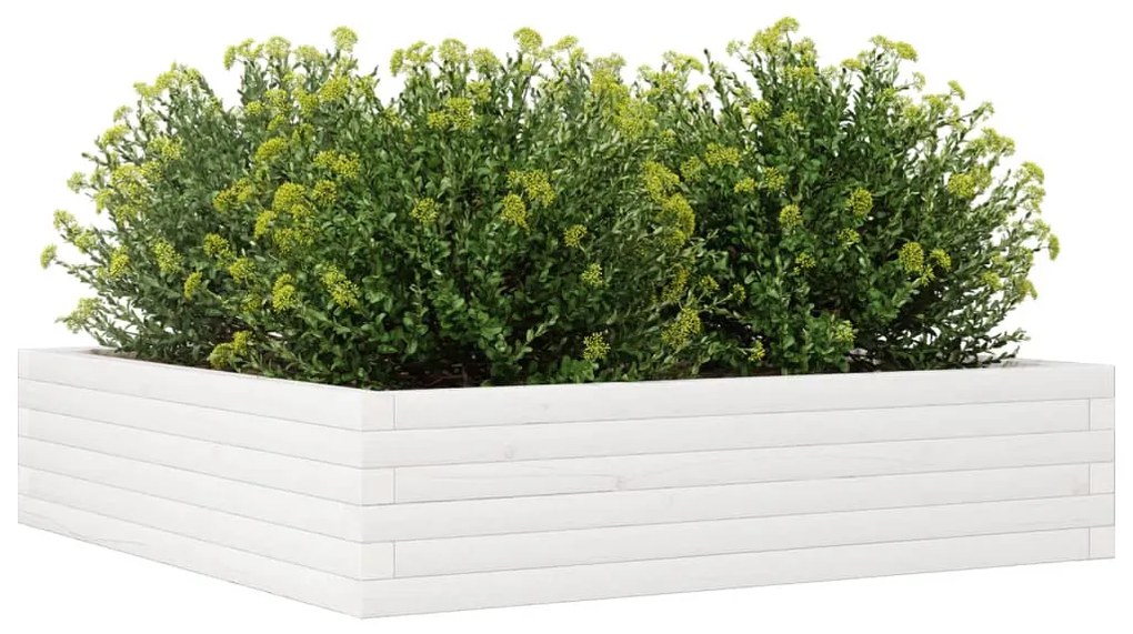 Vaso/floreira jardim 100x100x23 cm madeira pinho maciça branco