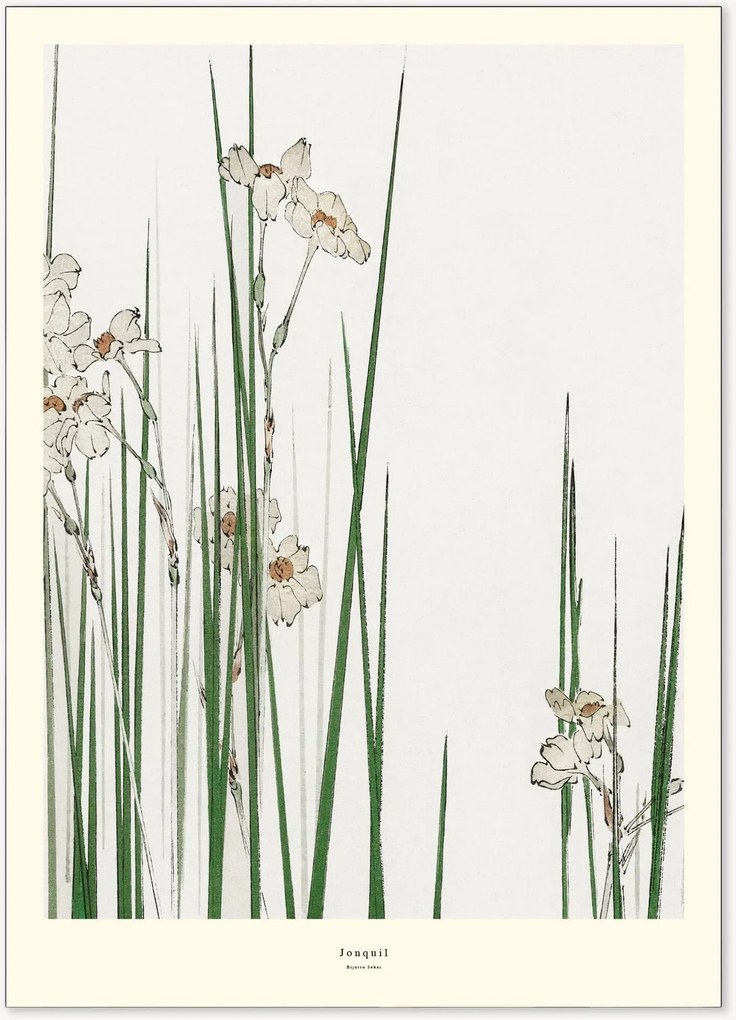 Póster Jonquil